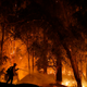The Maria Fire is not playing.